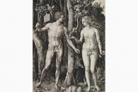 27325 Drer Adam und Eva-151